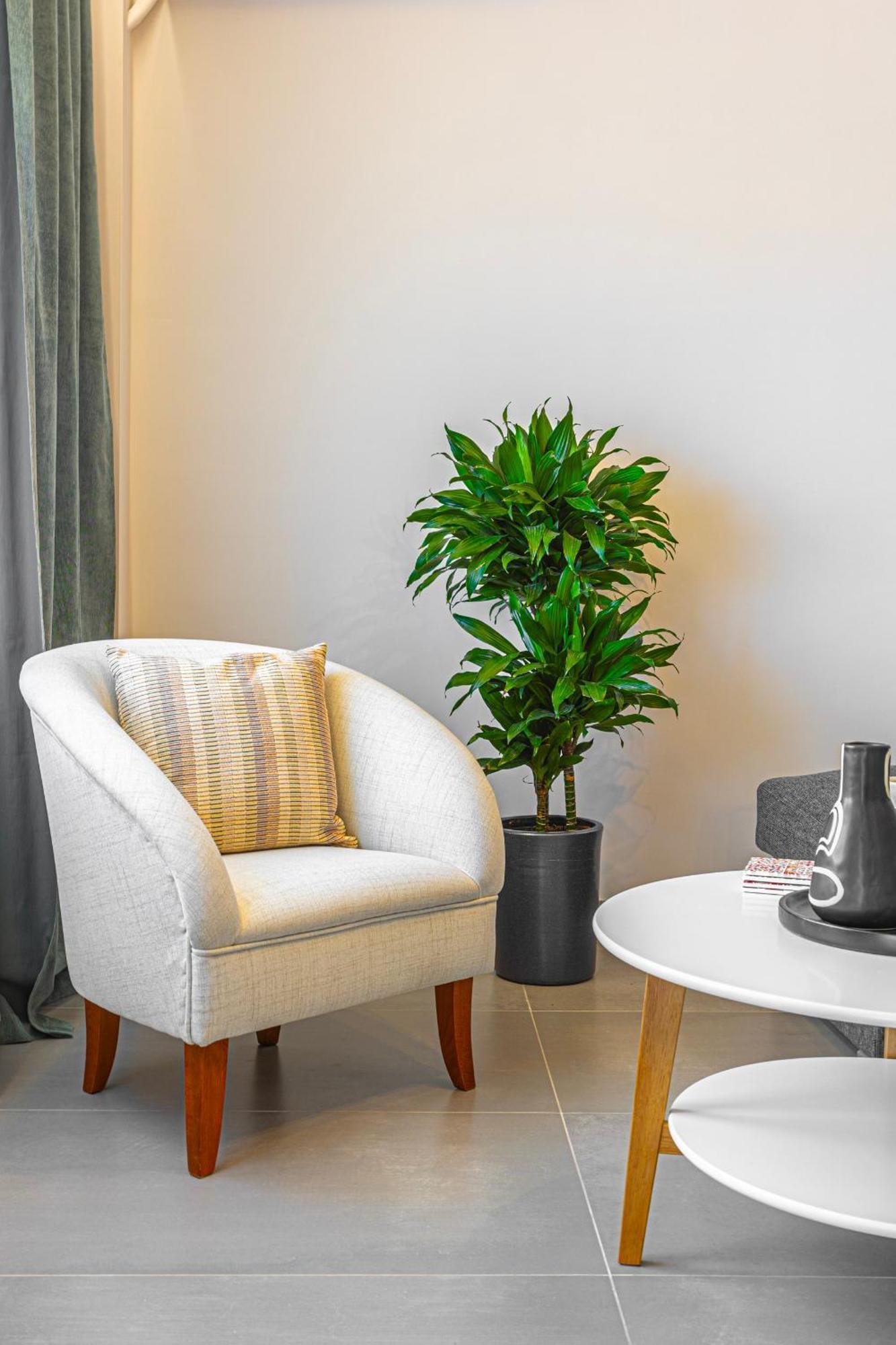 Luxury Apartment By The Sea- Euripus Strait Kanithos ภายนอก รูปภาพ